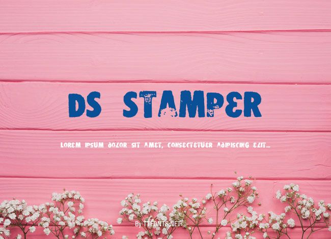 DS Stamper example